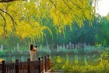 16号足球比分-16号足球赛事比分全解析，冷门迭出背后的战术博弈与球员闪光时刻