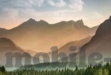 世界杯枪手是什么意思-世界杯枪手背后的故事